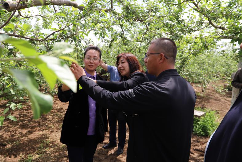 1684478983418723.jpg 微信圖片_20230519144714.jpg