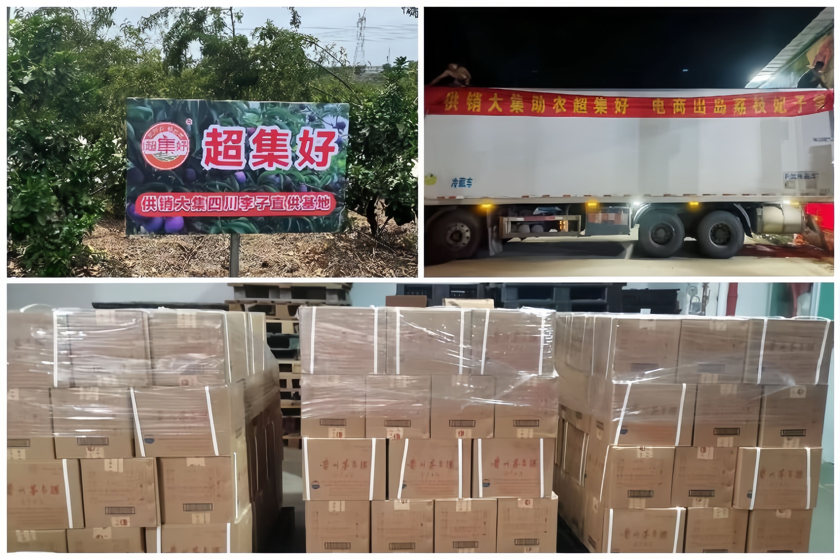 1694591459958026.jpg 1694591459958026.jpg